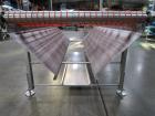 2013 Pizzamatic Band Conveyor
